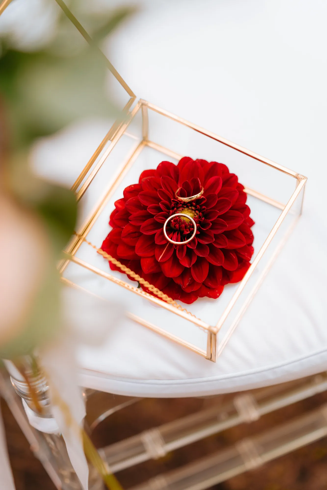 Le fedi custodite su un fiore rosso in una scatola di vetro — Luméa Wedding